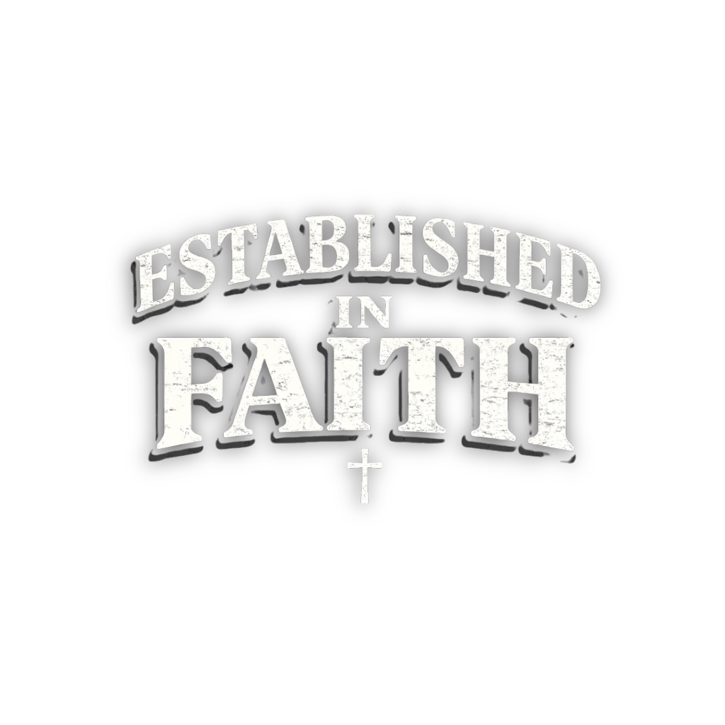 ESTABLISHED IN FAITH LIMITED